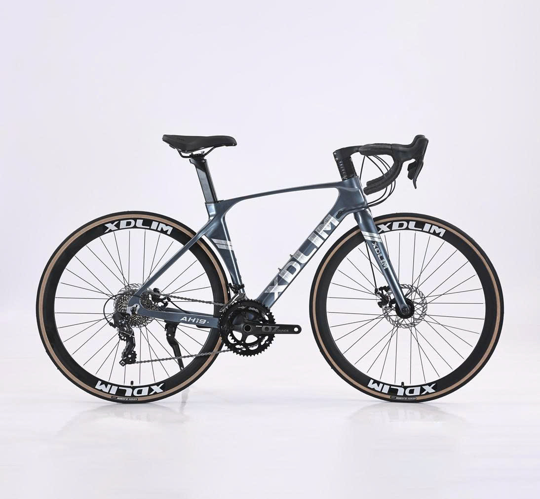 Xe đạp thể thao Xdlim AH 19