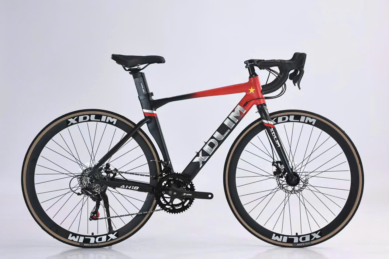 Xe đạp thể thao Xdlim AH 19