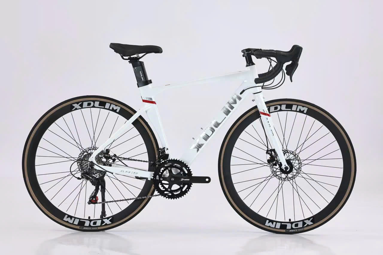 Xe đạp thể thao Xdlim AH18 
