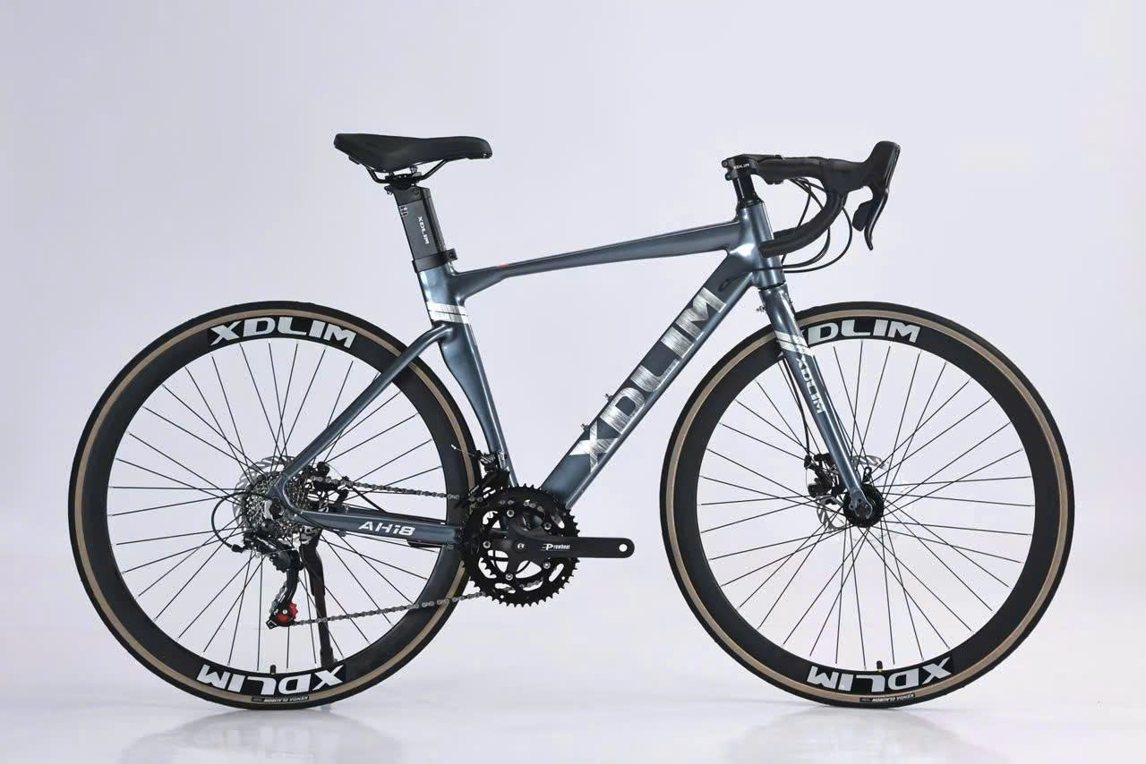 Xe đạp thể thao Xdlim AH18 