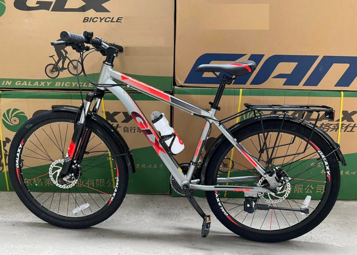 Xe đạp barga Galaxy CT9T