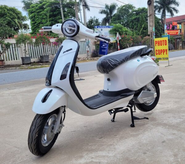 NIJIA PRINCE THIẾT KẾ THỜI TRANG